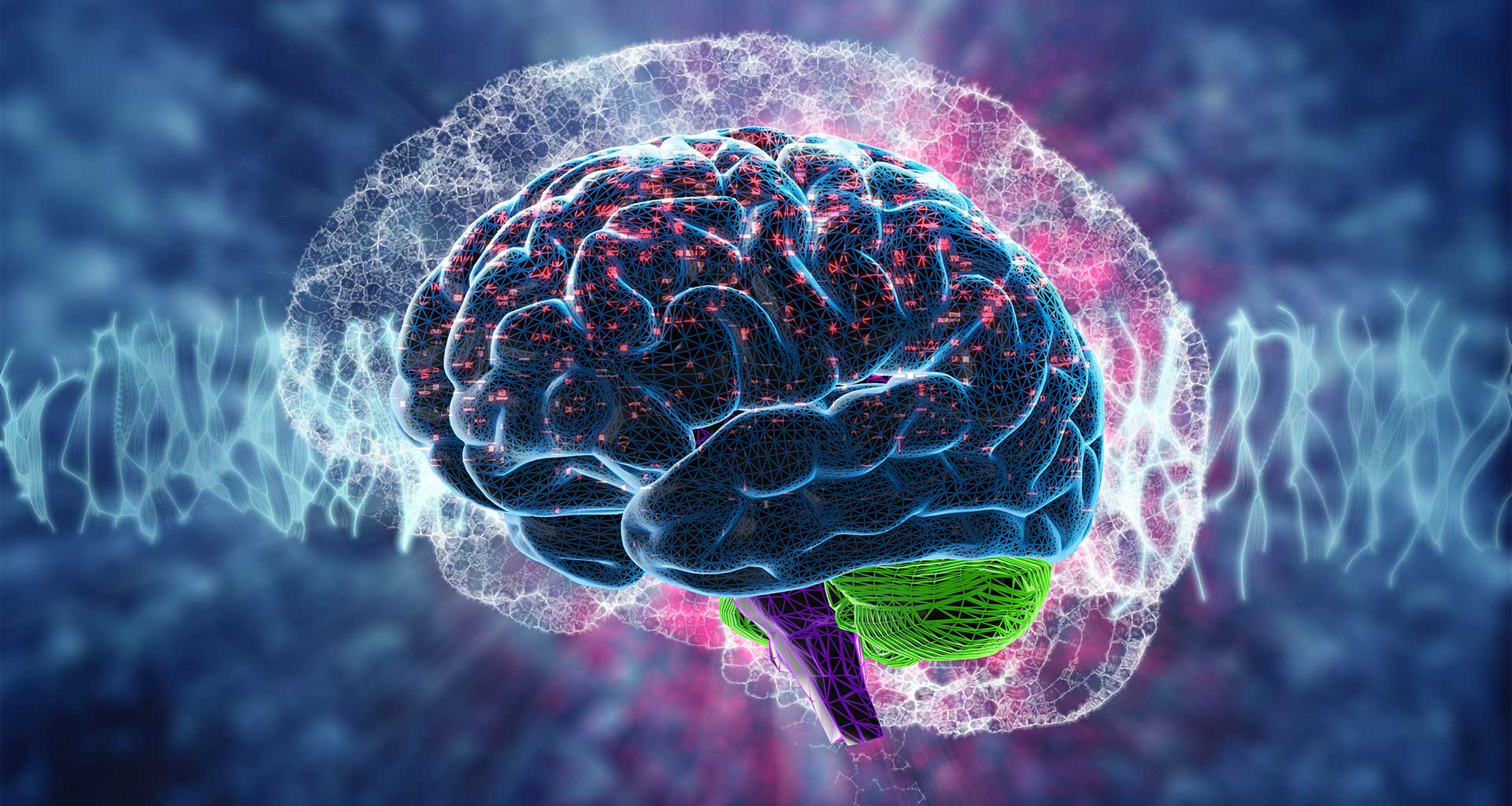 Cover Image Brain Disease Foundation