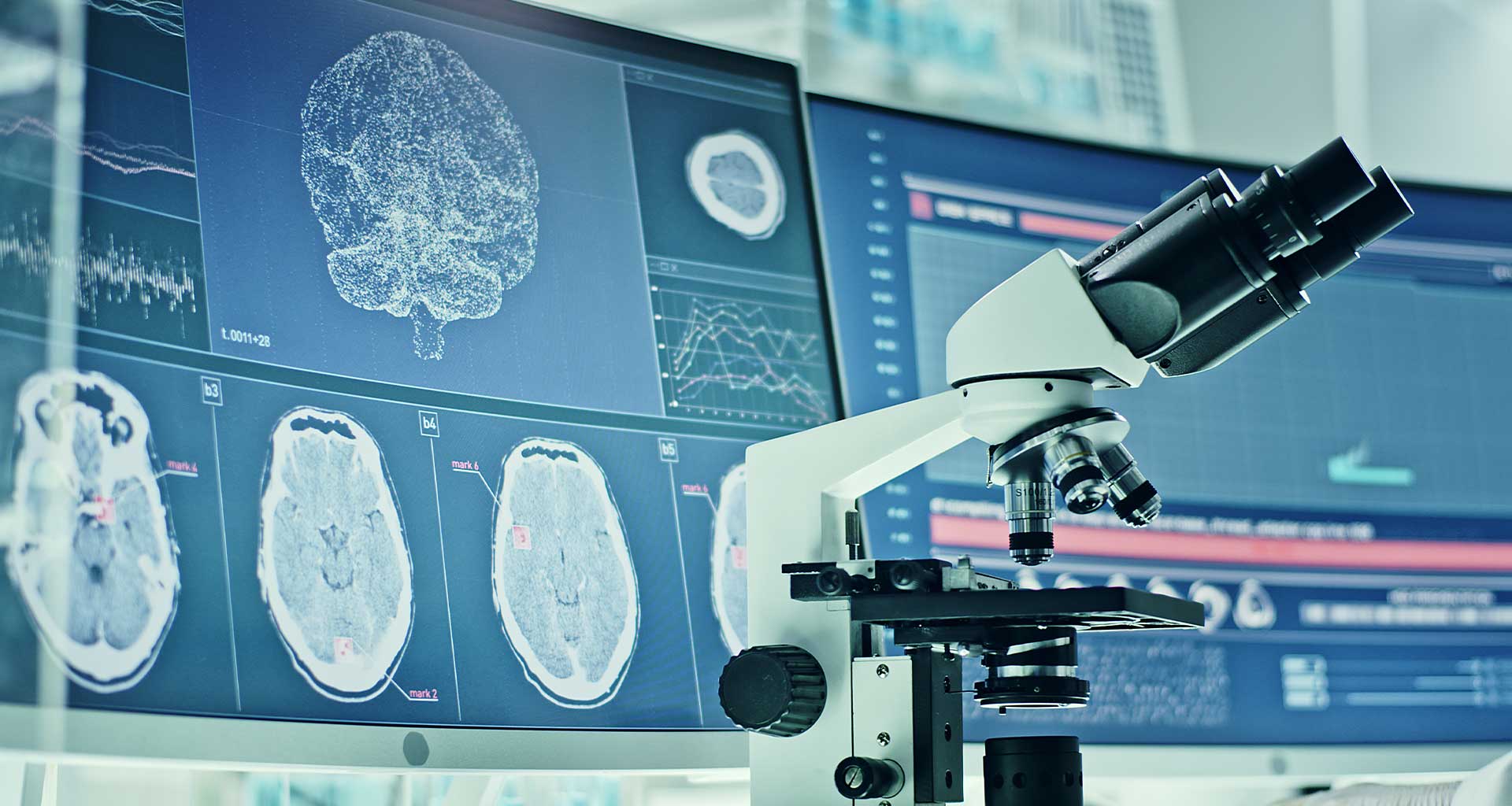 Cover Image Brain Disease Foundation